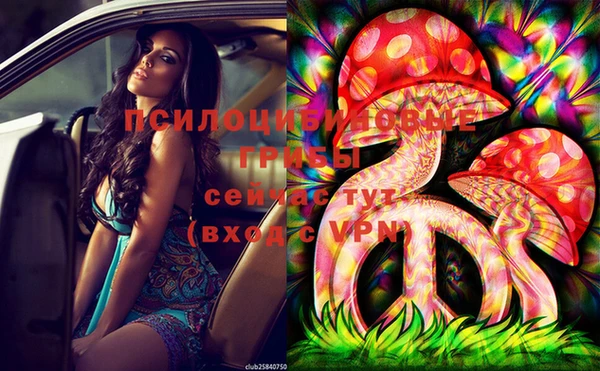дурь Чита