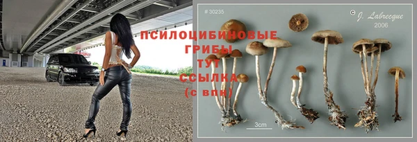 дурь Чита