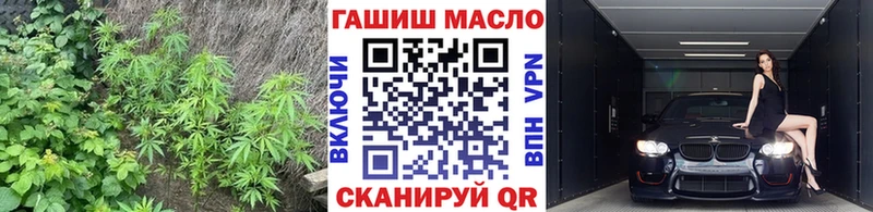 ТГК концентрат  Купить где  Порхов 