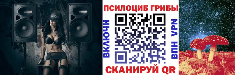 Купить  Порхов  Галлюциногенные грибы Psilocybine cubensis 